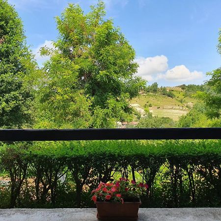 Agriturismo Il Burlino Apartments Lerma エクステリア 写真