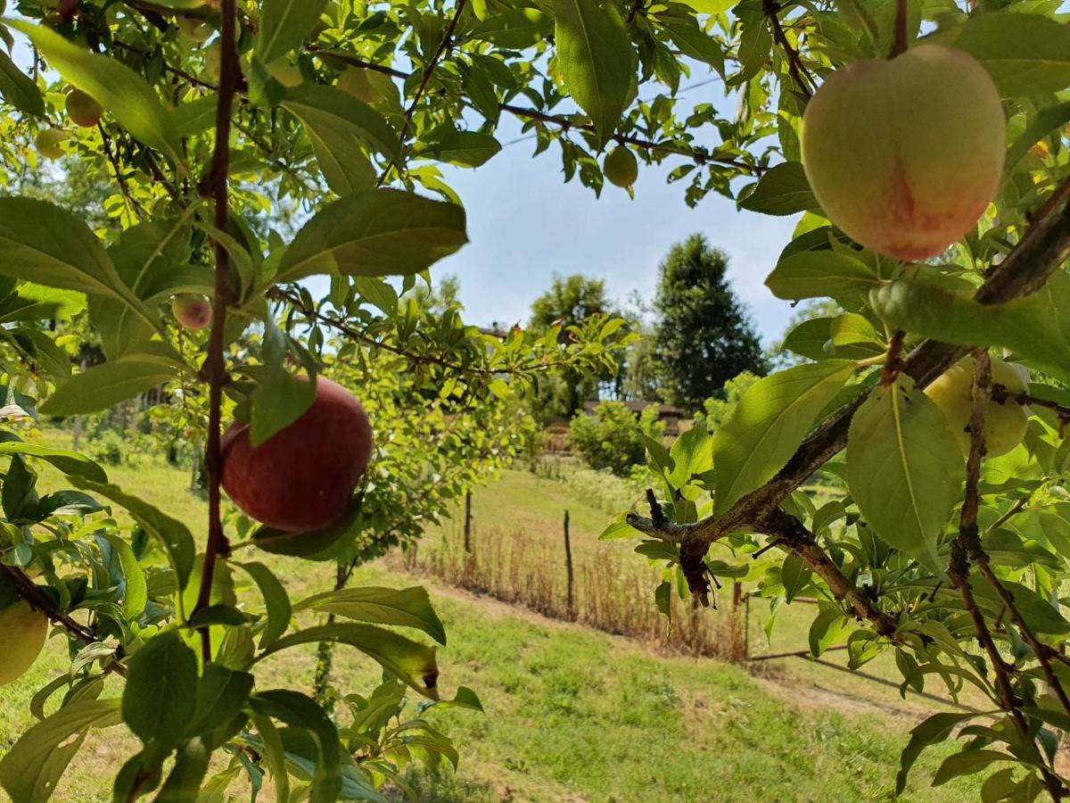 Agriturismo Il Burlino Apartments Lerma エクステリア 写真