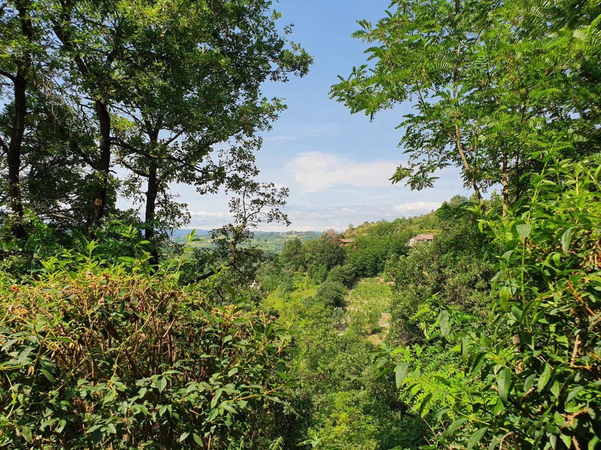 Agriturismo Il Burlino Apartments Lerma エクステリア 写真