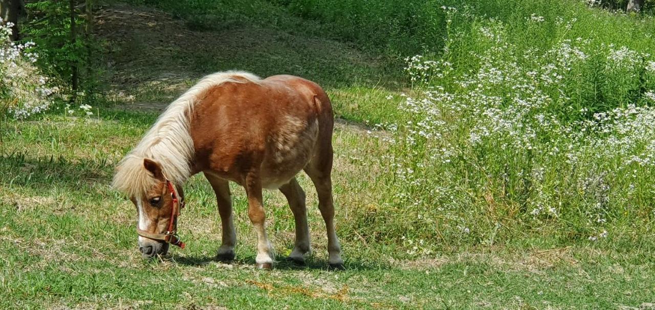 Agriturismo Il Burlino Apartments Lerma エクステリア 写真