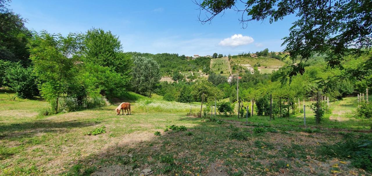 Agriturismo Il Burlino Apartments Lerma エクステリア 写真