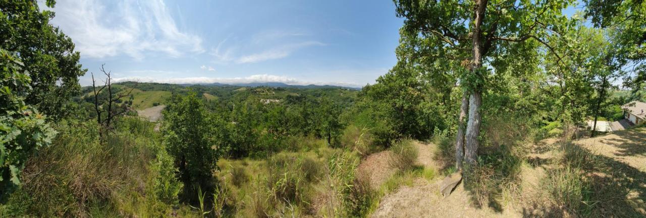 Agriturismo Il Burlino Apartments Lerma エクステリア 写真