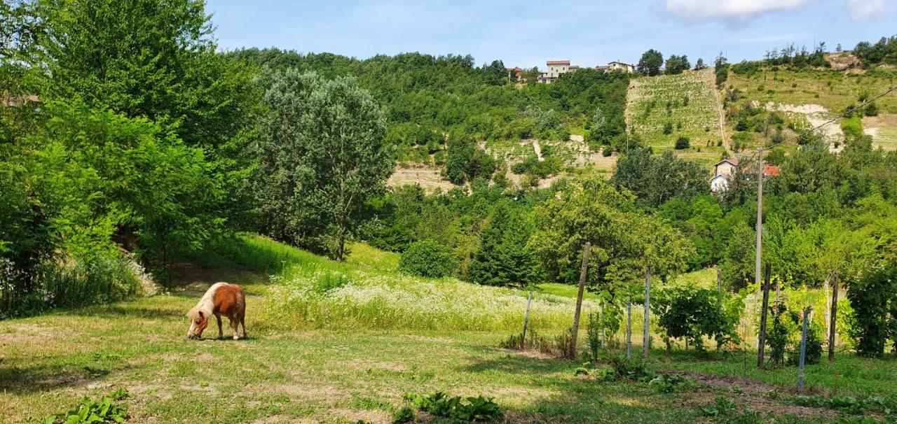 Agriturismo Il Burlino Apartments Lerma エクステリア 写真