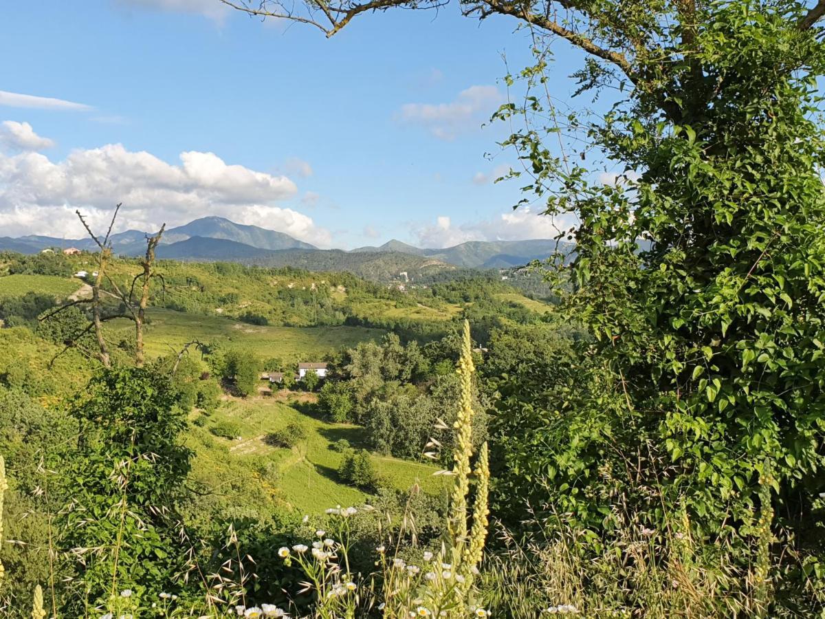 Agriturismo Il Burlino Apartments Lerma エクステリア 写真