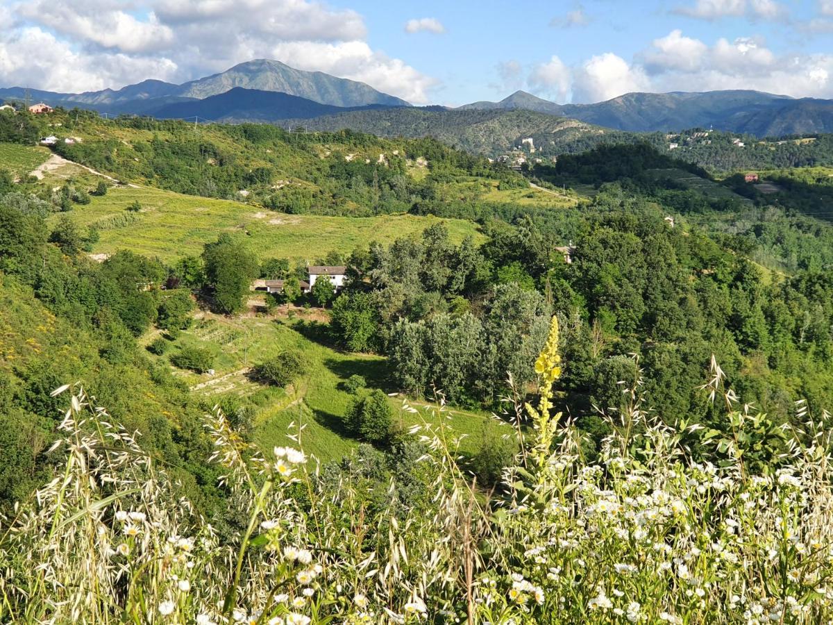 Agriturismo Il Burlino Apartments Lerma エクステリア 写真